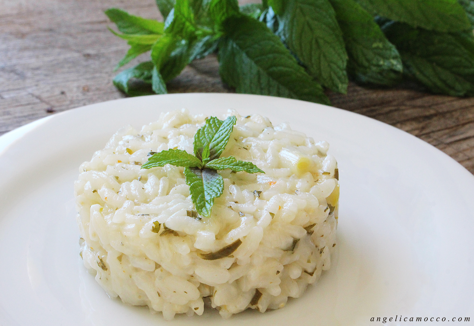 Risotto alla menta e rosmarino – Angelica Mocco